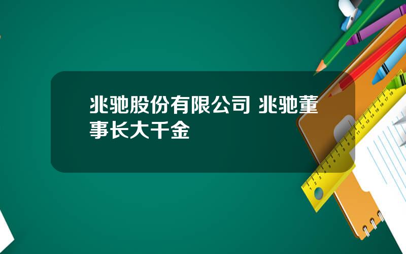 兆驰股份有限公司 兆驰董事长大千金